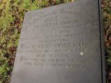 image of grave number 432678